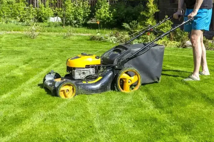 Affordable Lawn Mowing in Sparks, NV