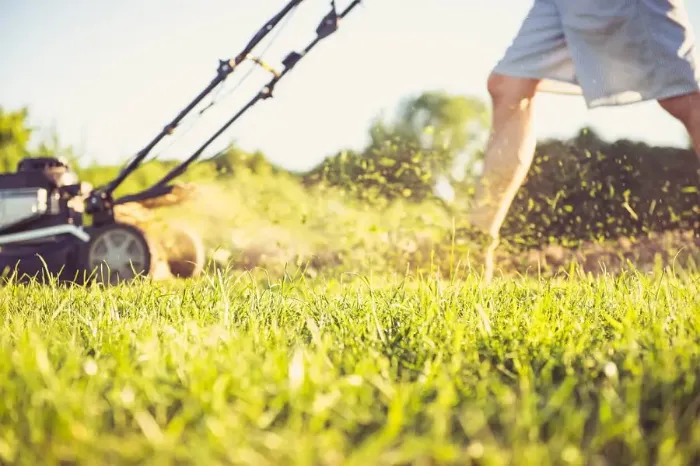 Can you mow wet grass in Sparks, NV