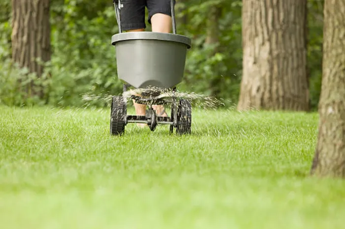 Dependable Lawn Fertilization in Sparks, NV