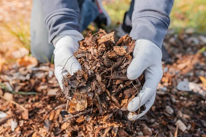 Dependable Mulching in Sparks, NV