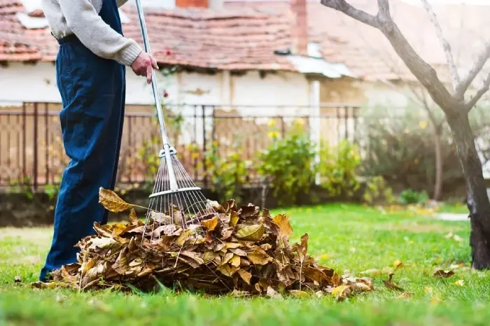 Detailed Yard Cleanup in Sparks, NV