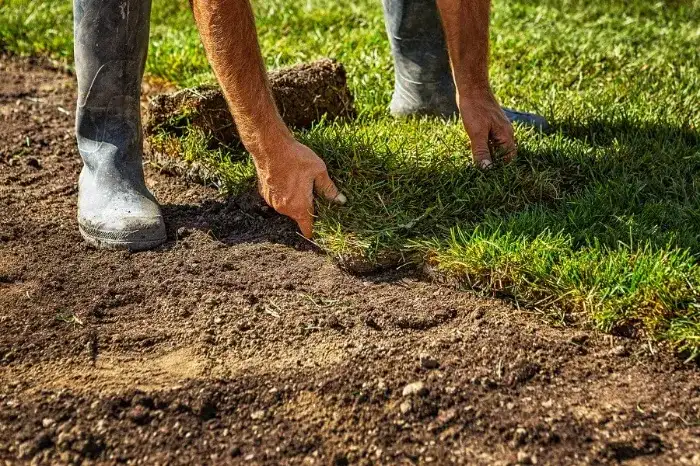 Excellent Sod Installation in Sparks, NV