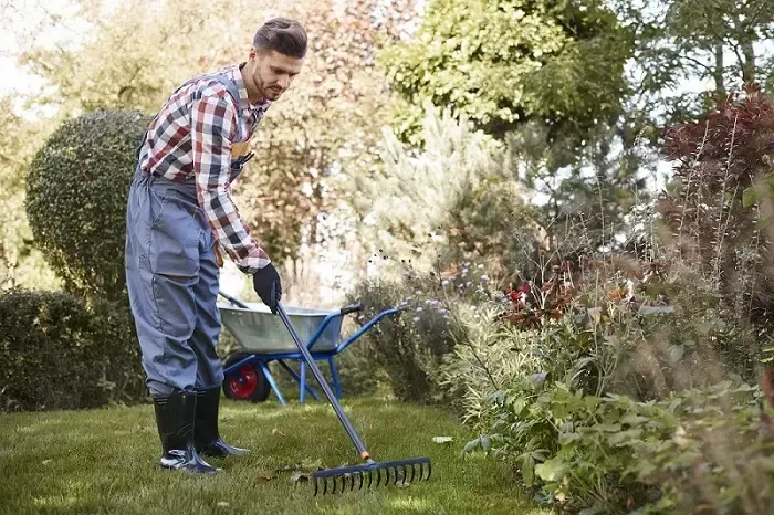 Exceptional Yard Cleanup in Sparks, NV