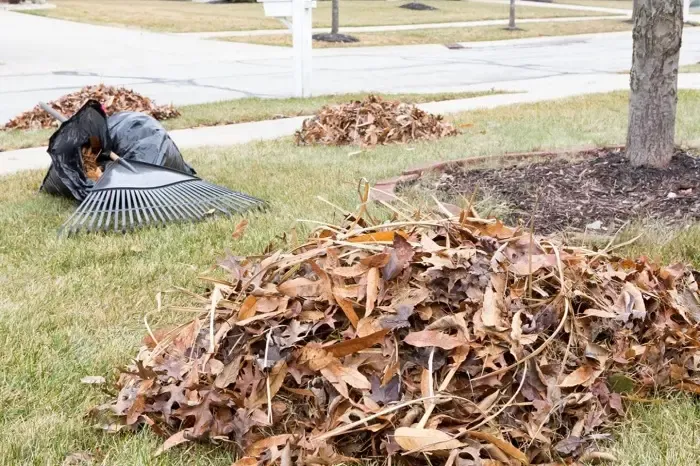 High-quality Yard Cleanup in Sparks, NV