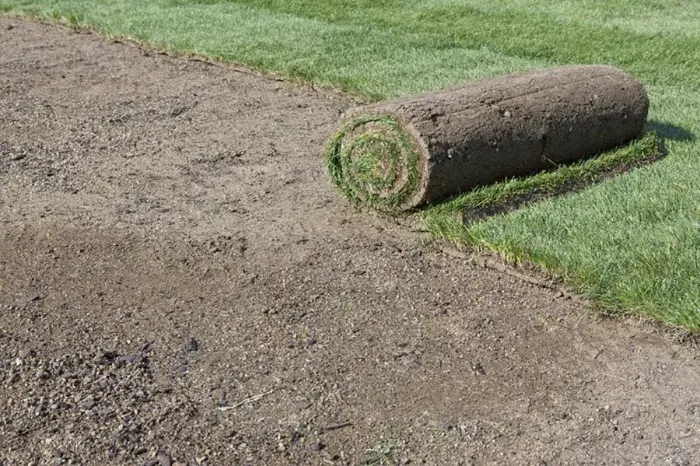 How long after installing sod can you walk on it Sparks, NV