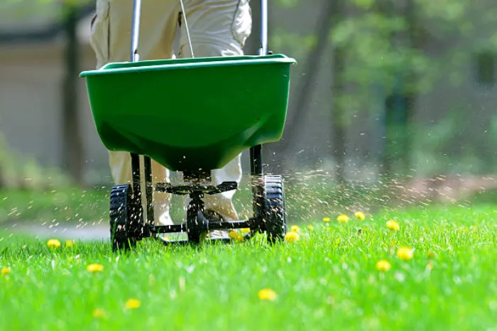 How often should you fertilize your lawn in Sparks, NV