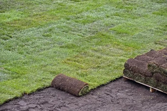 How to lay sod over existing lawn Sparks, NV