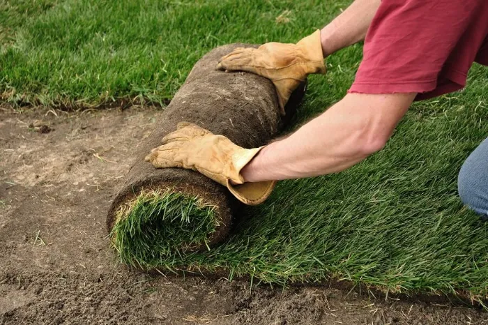 Proficient Sod Installation in Sparks, NV