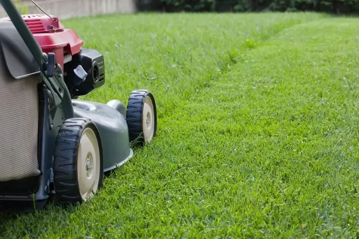 Reliable Lawn Mowing in Sparks, NV