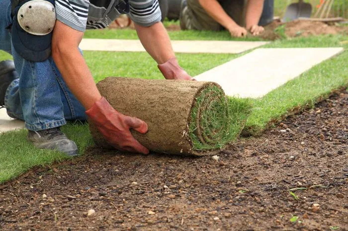 Trusted Sod Installation in Sparks, NV