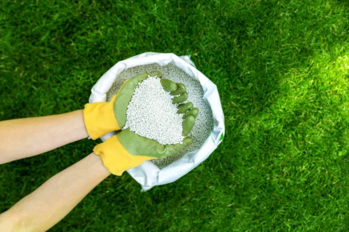 When is the best time to fertilize your lawn Sparks, NV